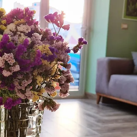 2v1 - Sheshi Willson Apartment Tirana